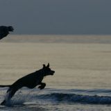 Spiele am Strand
